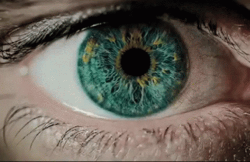 A Close Up Of A Person 'S Eye With A Blue Iris GIF