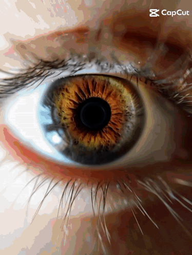A Close Up Of A Person 'S Eye With A Caption That Says " Capcut " GIF