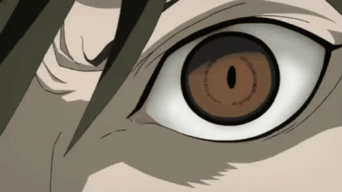 A Close Up Of A Person 'S Eye With A Circle Around The Pupil GIF