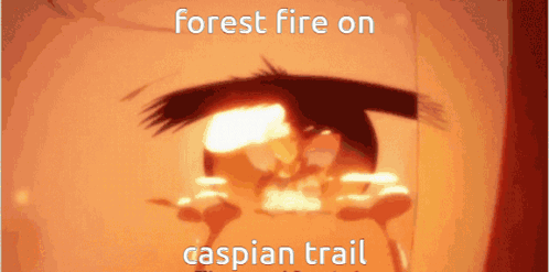 A Close Up Of A Person 'S Eye With The Words Forest Fire On Caspian Trail GIF