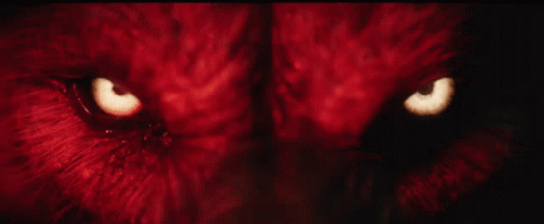 a close up of a person 's eyes that are glowing brightly