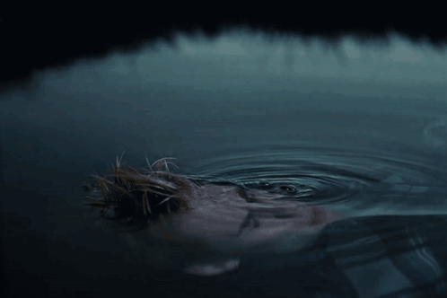 A Close Up Of A Person 'S Face In A Body Of Water GIF
