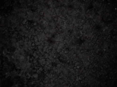 A Close Up Of A Person 'S Face With A Blurry Background GIF
