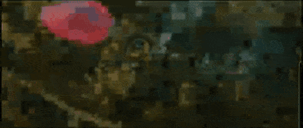 A Close Up Of A Person 'S Face With A Butterfly On It 'S Head . GIF