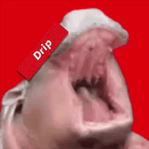 A Close Up Of A Person 'S Face With A Drip Tag On Their Head . GIF