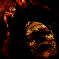 A Close Up Of A Person 'S Face With A Lot Of Teeth Visible GIF