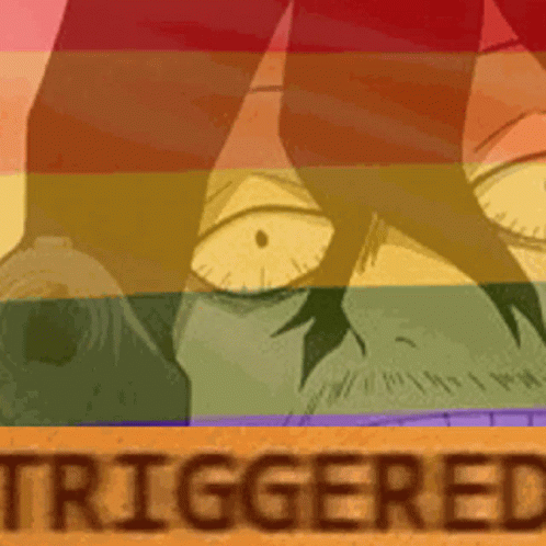 A Close Up Of A Person 'S Face With A Rainbow Flag In The Background And The Word Triggered . GIF