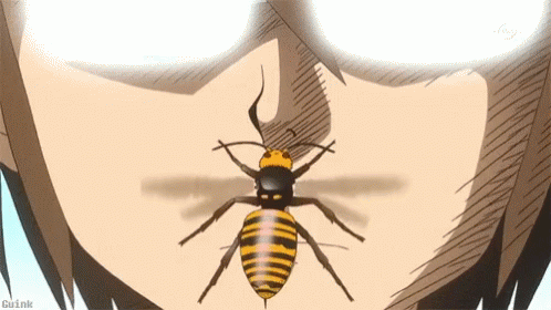 A Close Up Of A Person 'S Face With A Wasp On It . GIF