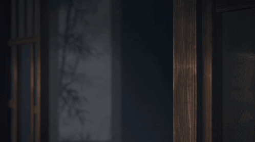 A Close Up Of A Person 'S Face With A White Haired Anime Character GIF