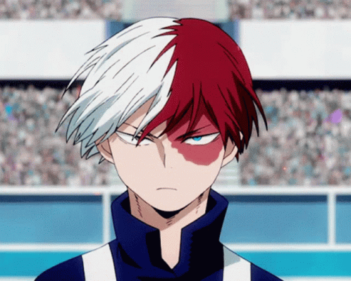 A Close Up Of A Person 'S Face With Half Red And Half White Hair GIF