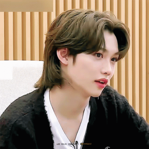 a close up of a person 's face with the name lee felix on the bottom right