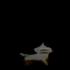 A Close Up Of A Person 'S Face With The Words Boing Boing Written Below It GIF