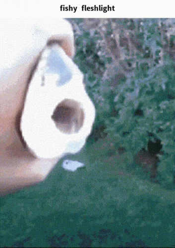 A Close Up Of A Person 'S Face With The Words Fishy Fleshlight Above It GIF