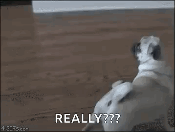 A Close Up Of A Person 'S Face With The Words `` Really '' Written In The Corner . GIF