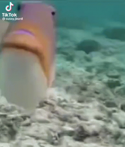 A Close Up Of A Person 'S Face With Tiktok Written On The Bottom Right GIF