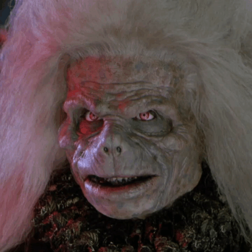 A Close Up Of A Person 'S Face With White Hair GIF