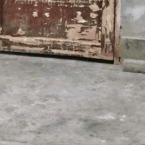 A Close Up Of A Person 'S Feet On A Concrete Floor GIF