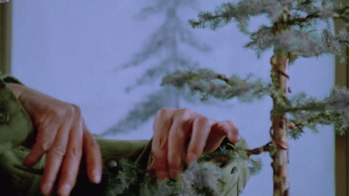 A Close Up Of A Person 'S Hands On A Tree GIF