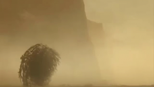 A Close Up Of A Person 'S Head Covered In Sand . GIF