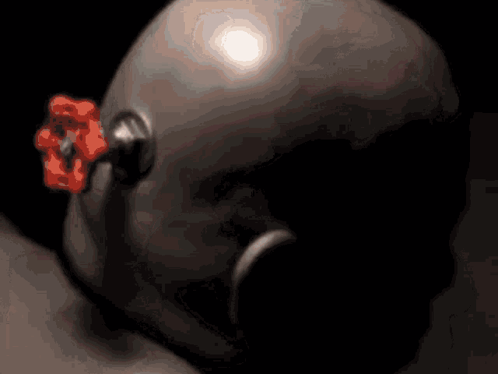 A Close Up Of A Person 'S Head With A Flower In It GIF