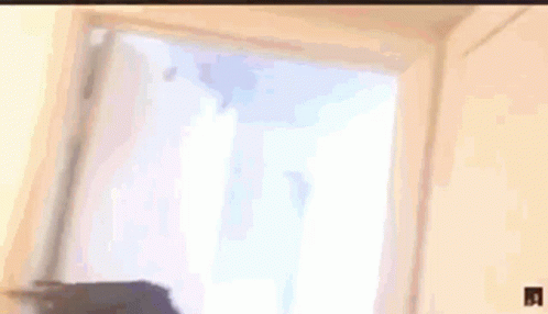 A Close Up Of A Person 'S Head With A Hat On . GIF