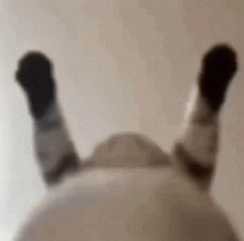 A Close Up Of A Person 'S Legs With Their Feet Up . GIF