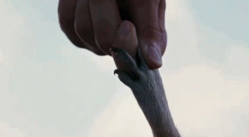 A Close Up Of A Person 'S Mouth With Their Eyes Closed GIF