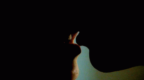 A Close Up Of A Person 'S Mouth With Their Mouth Open GIF