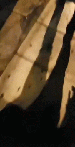 A Close Up Of A Person 'S Shadow On A Wooden Floor . GIF