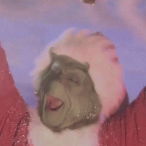 A Close Up Of A Person Wearing A Grinch Mask And A Santa Hat In The Snow . GIF