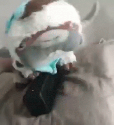 A Close Up Of A Person Wearing A Mask On A Bed . GIF