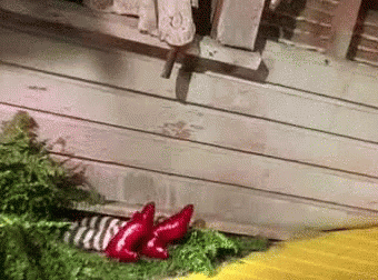 A Close Up Of A Person Wearing A Pair Of Red Socks . GIF