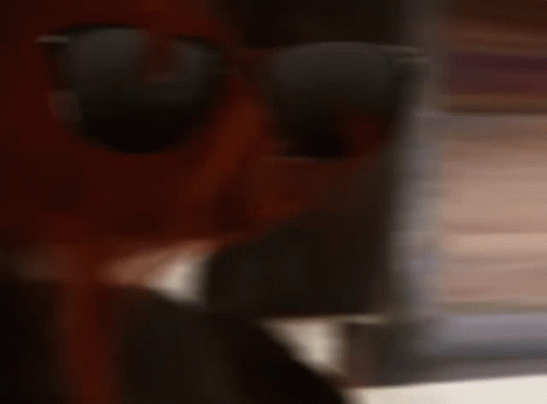 Close-Up Of Person Wearing Sunglasses GIF
