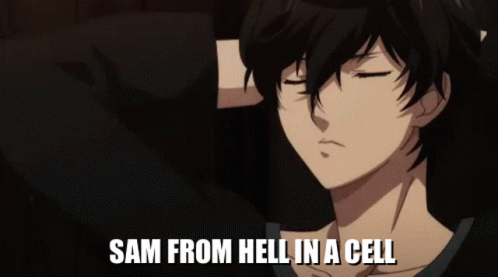 A Close Up Of A Person With The Words " Sam From Hell In A Cell " Above Them GIF
