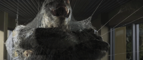 A Close Up Of A Person Wrapped In Spider Webs GIF