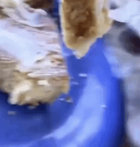 A Close Up Of A Piece Of Food On A Blue Table Cloth GIF