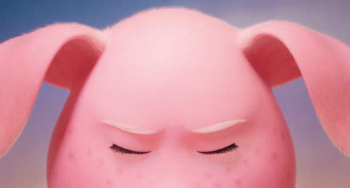 A Close Up Of A Pink Bunny 'S Face With Its Eyes Closed GIF