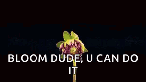 A Close Up Of A Pink Flower With The Words `` Bloom Dude , U Can Do It '' Below It . GIF
