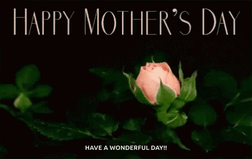 A Close Up Of A Pink Rose With The Words `` Happy Mother 'S Day Have A Wonderful Day '' Written Above It . GIF