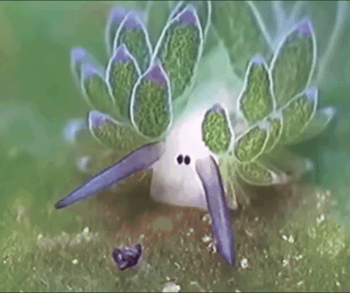 A Close Up Of A Plant With A Purple Tail GIF