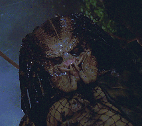 A Close Up Of A Predator With A Very Large Mouth GIF