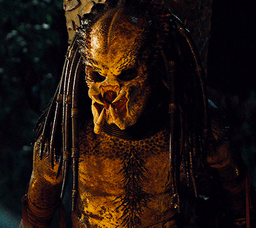 A Close Up Of A Predator With A Very Sharp Teeth GIF