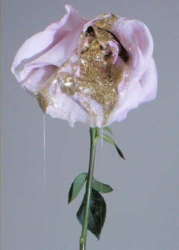 A Close Up Of A Purple Rose With Gold Powder On It GIF