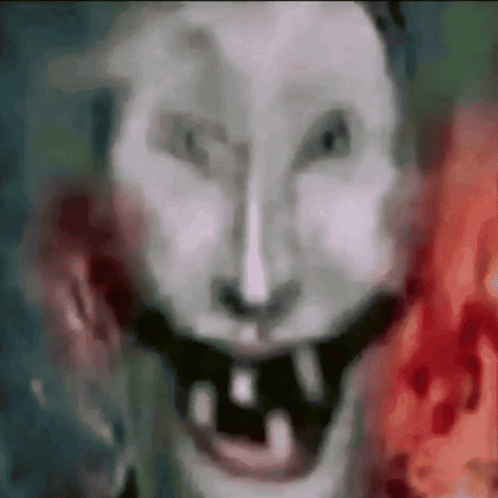 A Close Up Of A Rabbit 'S Face With Teeth Missing GIF