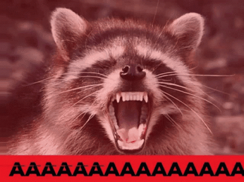 A Close Up Of A Raccoon With Its Mouth Open And A Red Background With The Letters Aaa On It GIF