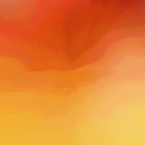 A Close Up Of A Red And Yellow Parrot With A Green Leaf On Its Head GIF
