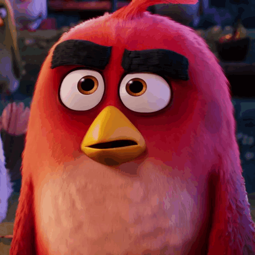 Red Angry Bird Surprised Close Up GIF