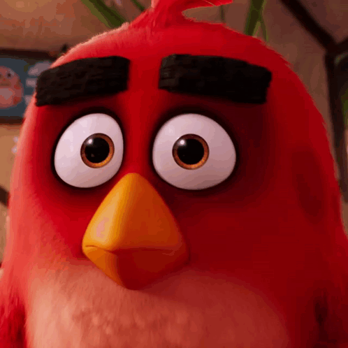 Red Angry Bird With Big Eyes And Yellow Beak GIF