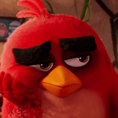 Close Up Of Red Angry Bird With Big Eyes GIF