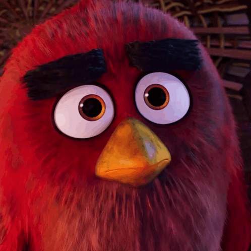 Close Up Of Red Angry Bird With Big Eyes GIF